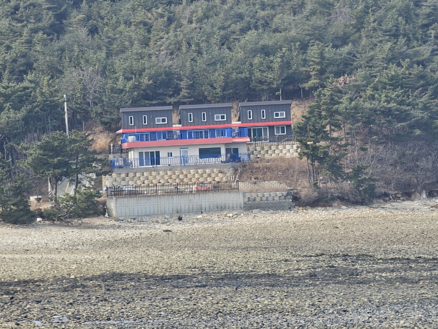 해변 건너편에서 본 언덕 위 복층 독채 외관과 파란 난간 데크, 뒤로 솔숲.